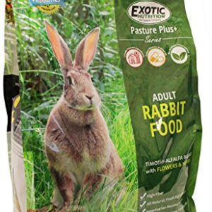 Pasture Plus+ Adult Rabbit Food (10 lb.) - Nutritionally Complete Healthy Natural Pellet Diet - for Adult Rabbits 12 Months & Older