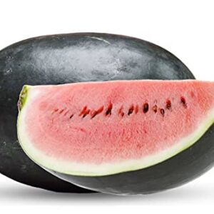 50 Black Diamond Watermelon Seeds for Planting - Heirloom Non-GMO Fruit Seeds for Planting - Grows Big Giant Watermelons Averaging 30-50 lbs