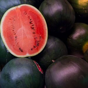 50 Black Diamond Watermelon Seeds for Planting - Heirloom Non-GMO Fruit Seeds for Planting - Grows Big Giant Watermelons Averaging 30-50 lbs