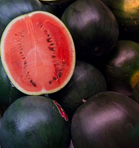 50 Black Diamond Watermelon Seeds for Planting - Heirloom Non-GMO Fruit Seeds for Planting - Grows Big Giant Watermelons Averaging 30-50 lbs