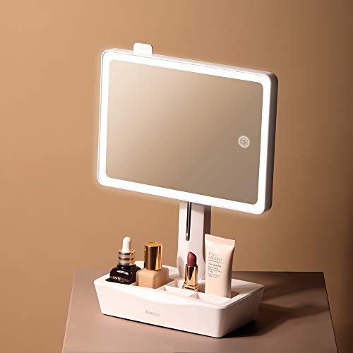 Fancii LED Lighted Large Vanity Makeup Mirror with 10X Magnifying Mirror - Dimmable Natural Light, Touch Screen, Dual Power, Adjustable Stand with Cosmetic Organizer - Gala