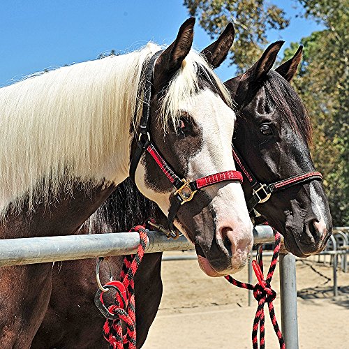 Safety Tie Injuries Preventing Horse Tether Tie - Portable & Reusable Breakaway Horse Tie - Safety for You & Your Horse - Quick Release Horse Tie - 5 Customizable Loop Setting - 2pcs (Black)