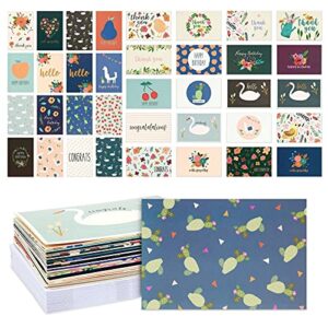 assorted all occasion greeting cards with envelopes, 36 designs (4x6 in, 36 pack)