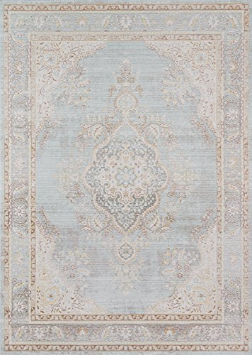 Momeni Rugs Isabella Traditional Medallion Flat Weave Area Rug, 7'10" X 10'6", Blue