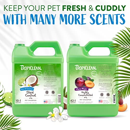 TropiClean Lime & Coconut Deshedding Dog Shampoo for Shedding Control | Natural Pet Shampoo Derived from Natural Ingredients | Cat Friendly | Made in The USA | 1 gal.