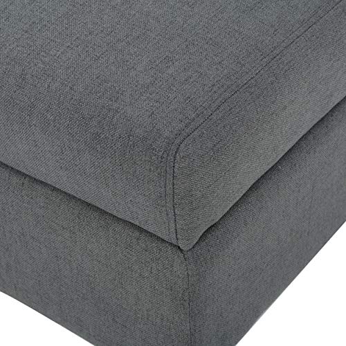 Christopher Knight Home Tovah Fabric Storage Loveseat, Charcoal