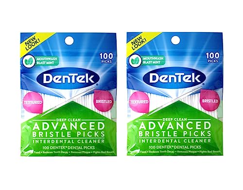 DenTek Deep Clean Bristle Picks Two Packs of 100 Each