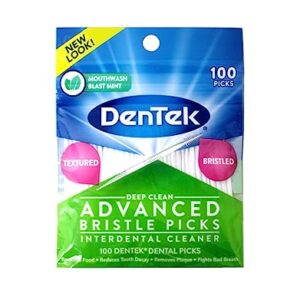 DenTek Deep Clean Bristle Picks Two Packs of 100 Each