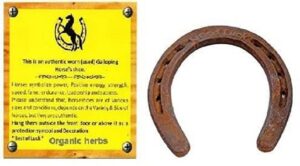 authentic used horseshoe black - good luck charm - rustic - lucky gift feng shui positive energy