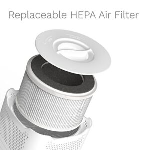 hOmeLabs HEPA Filter Replacement - Fits HME020020N hOmeLabs 4-in-1 Compact Ionic HEPA Air Purifier