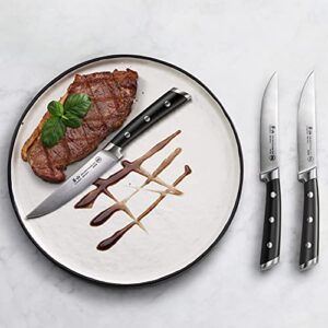 Cangshan S Series 1020359 German Steel Forged 4-Piece Steak Knife Set, 5-Inch Blade