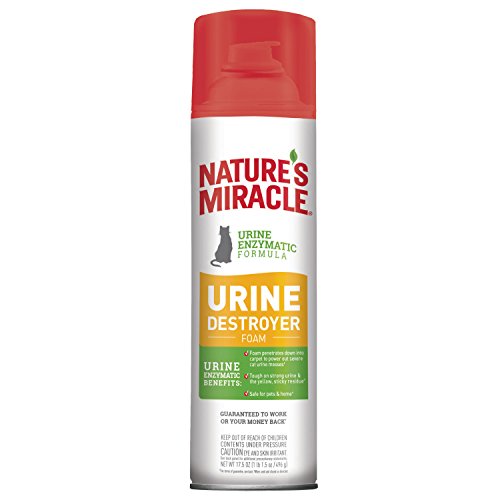 Nature's Miracle Urine Destroyer Foam