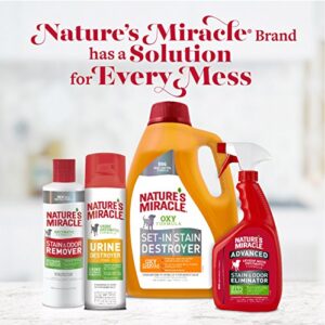 Nature's Miracle Urine Destroyer Foam