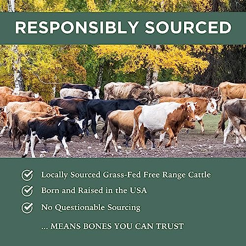 K9 Connoisseur Dog Bones Made in USA from Grass Fed Cattle for Small and Medium Breed Dogs Natural Long Lasting Meaty Beef Knee Cap Bone Treats Best for Dogs Upto 50 Pounds 1 Pack 10 Count