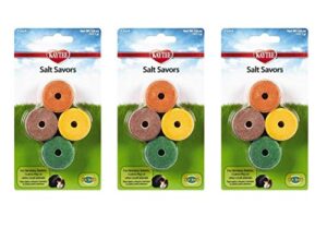 kaytee mini salt savors flavors 4pk