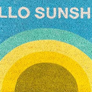 Novogratz by Momeni Rugs "Aloha Collection Hello Sunshine Doormat, 1'6"" x 2'6"", Multicolor"