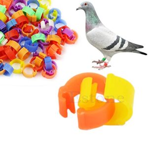 amrka 100pcs 8mm chicken hen pigeon leg poultry bird dove chicks duck parrot clip rings band