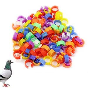 Amrka 100Pcs 8mm Chicken Hen Pigeon Leg Poultry Bird Dove Chicks Duck Parrot Clip Rings Band