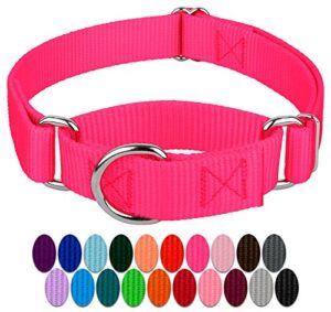 country brook petz - hot pink martingale heavy duty nylon dog collar - 21 vibrant color options (1 inch width, medium)