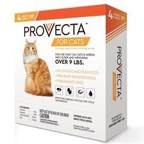 provecta advanced for cats over 9 lbs. (4 dose), orange