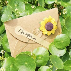 Handmade Flower Greeting Card Gift Card Holder with envelope Wish Card Message Slip Thank You Card DIY Vintage Kraft 2.79"x4.13" Pack of 10