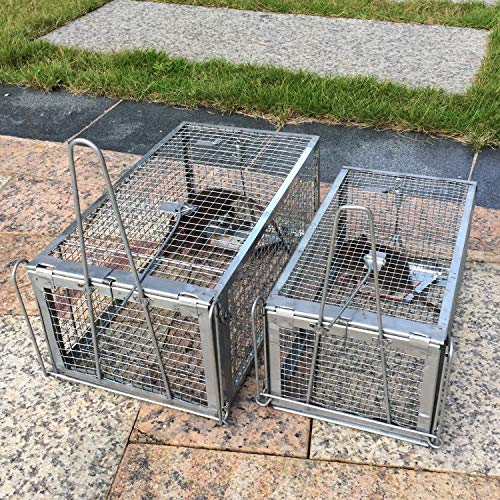 Kensizer Humane Rat Trap, Chipmunk Rodent Trap That Work for Indoor and Outdoor Small Animal - Mouse Voles Hamsters Live Cage Catch and Release