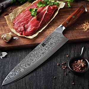 XINZUO 10 Inch Damascus Chef Knife Kitchen Knife Sharp Gyuto Knife Stainless Steel Fashion Professional Chef's Knife with Rosewood Handle