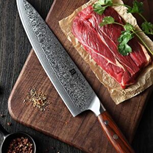 XINZUO 10 Inch Damascus Chef Knife Kitchen Knife Sharp Gyuto Knife Stainless Steel Fashion Professional Chef's Knife with Rosewood Handle