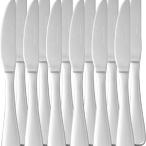 Amazon Basics Stainless Steel Dinner Knives with Round Edge, Pack of 12, Silver