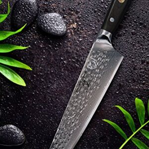 Dalstrong Shogun Series X Damascus Japanese AUS-10V Super Steel Chef Kitchen Knife with G10 Black Handle ABS, 10.25 Inches, Sheath Included