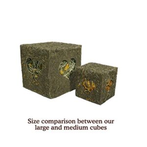 Rosewood Naturals ‘I Love Hay’ Forage Cube, Treat & Toy for Small Animals, Large