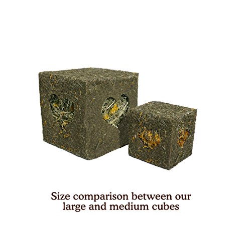 Rosewood Naturals ‘I Love Hay’ Forage Cube, Treat & Toy for Small Animals, Large