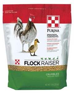 purina flock raiser crumbles poultry feed nutritionally complete - 5 pound (5 lb) bag