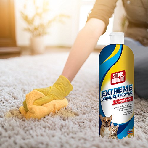 Simple Solution Extreme Urine Destroyer Enzymatic Cleaner | Pet Stain and Odor Remover with 2X Pro-bacteria Cleaning Power | 32 Ounces