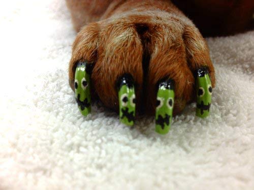 Warren London Pawdicure Dog Nail Polish Pen | Non Toxic, Odorless, & Fast Dry | Made in USA | 3 Pack Neon (Pink Purple Green)