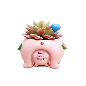 youfui cute animal flowerpot animal resin succulent planter desk mini ornament (pig)