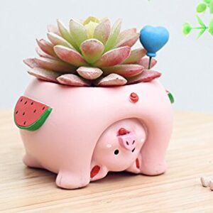 Youfui Cute Animal Flowerpot Animal Resin Succulent Planter Desk Mini Ornament (Pig)