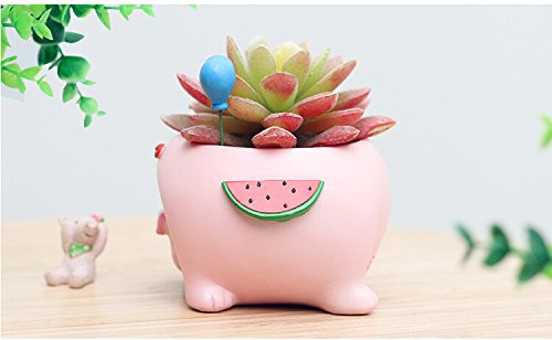 Youfui Cute Animal Flowerpot Animal Resin Succulent Planter Desk Mini Ornament (Pig)