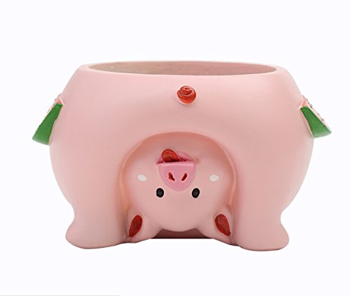 Youfui Cute Animal Flowerpot Animal Resin Succulent Planter Desk Mini Ornament (Pig)