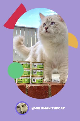 "I and love and you" Naked Essentials Canned Wet Cat Food, Chicken Me Out Pâté, Chicken Recipe, Grain Free, Real Meat, No Fillers, 5.5 oz Cans, Pack of 12 Cans