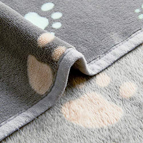 Allisandro 350 GSM-Super Soft and Premium Fuzzy Flannel Fleece Pet Dog Blanket, The Cute Print Design Washable Fluffy Blanket for Puppy Cat Kitten Indoor or Outdoor, Grey, 40 x 32 Inches