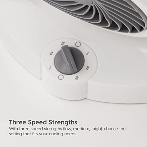 IRIS USA WOOZOO Air Circulator Fan, Vortex Fan, Desk Fan, Portable Fan, 3 Speed Settings, 6 Tilting Head Settings, 74ft Max Air Distance, Large, Black