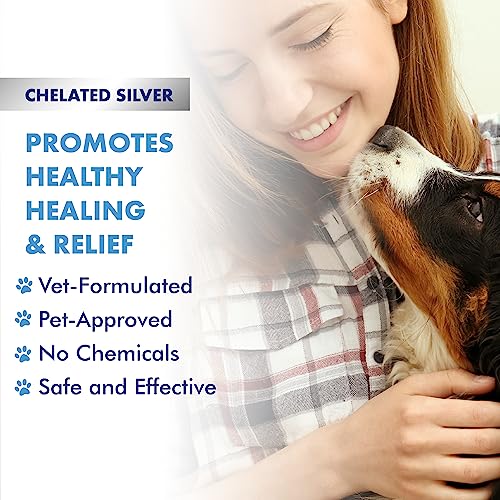 PetSilver Teeth & Gum Spray for Dogs & Cats, Eliminate Bad Breath, Natural Pet Dental Care Solution, Targets Tartar & Plaque, Clean Teeth Without Brushing, Easy to Apply, Chelated Silver, 4 fl oz