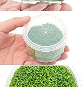 Aquarium Plants Factory Dwarf Baby Tears Tissue Culture Live Aquarium Plants