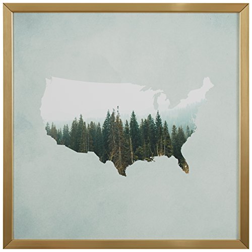 Amazon Brand – Rivet American Forest Map Wall Art Print in Gold Wood Frame, 12" x 12"