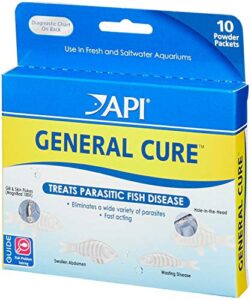 api general cure powder packets, 10 count, 6 pack