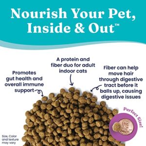 Solid Gold Indoor Dry Cat Food - Let's Stay in Cat Food Dry Kibble for Indoor Cats - Hairball & Sensitive Stomach - Grain & Gluten Free - Probiotics & Fiber for Digestive Health - Chicken - 6lb