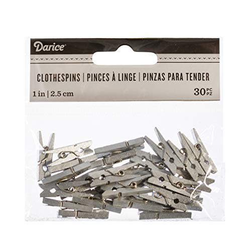 Darice 30029566 Tiny Clothespins, 1", Silver, 30 Piece