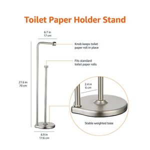Amazon Basics Free Standing Bathroom Toilet Paper Holder Stand with Reserve, Silver Nickel