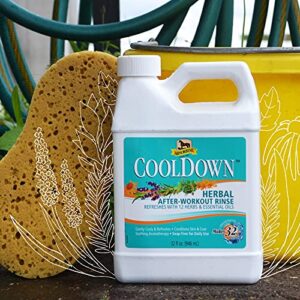 Absorbine CoolDown Herbal After Workout Rinse, 12 Herbs & Essential Oils, Soap-Free Formula, Concentrate Makes 32 Gallons